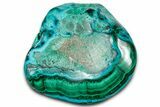 Vibrant Polished Malachite with Chrysocolla - DR Congo #336808-1